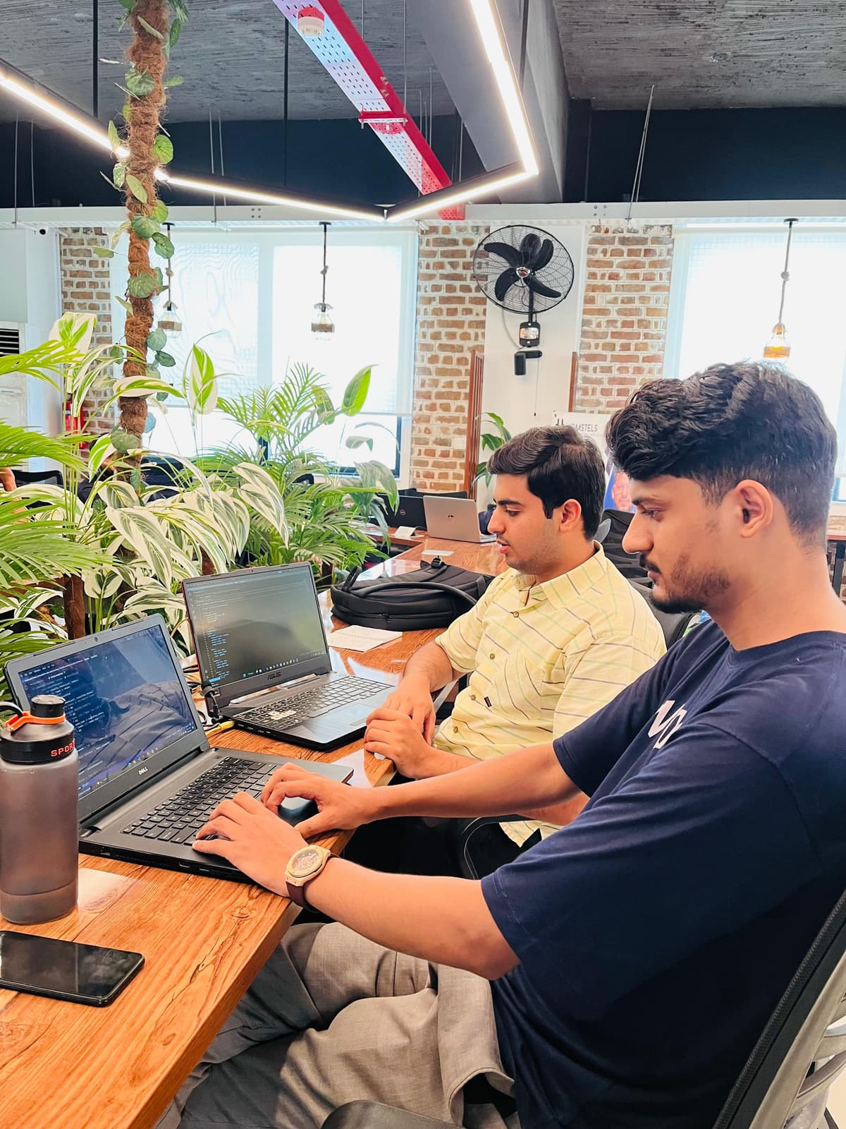 CODECELIX Team Working